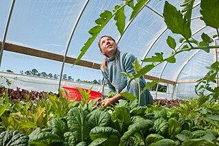 Farmer