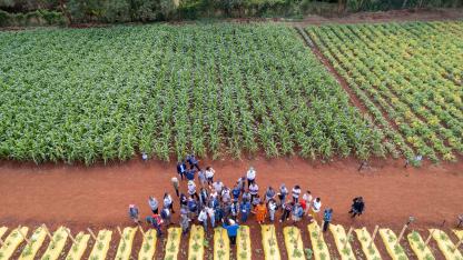 Farmers