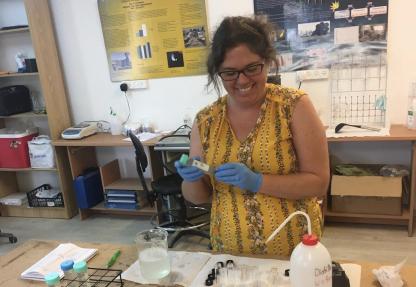 lab work