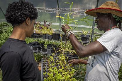 Urban farmers