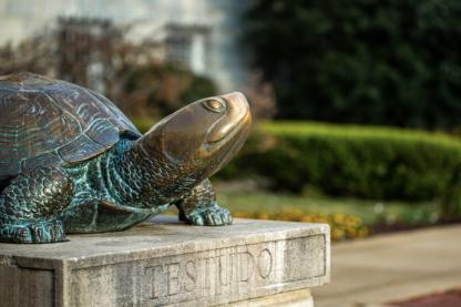 testudo