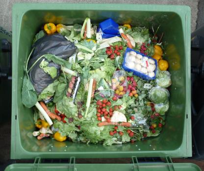 food waste