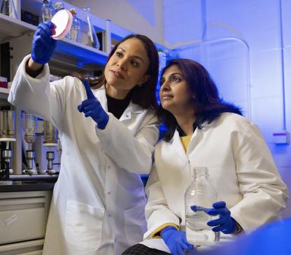 4/8/24: Co-PIs analyze Maryland drinking water quality