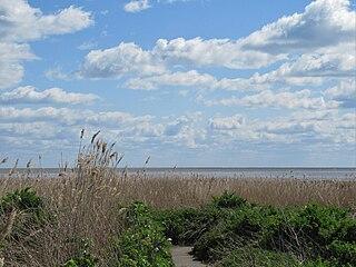 bay