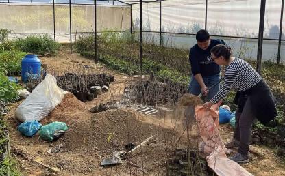 planting