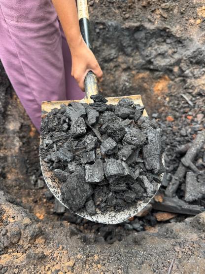 biochar