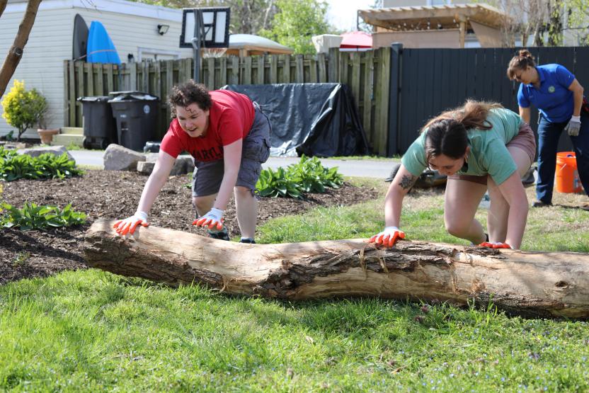 log roll