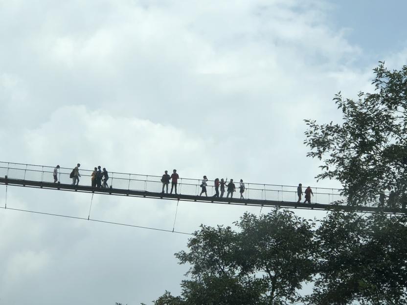 rope bridge