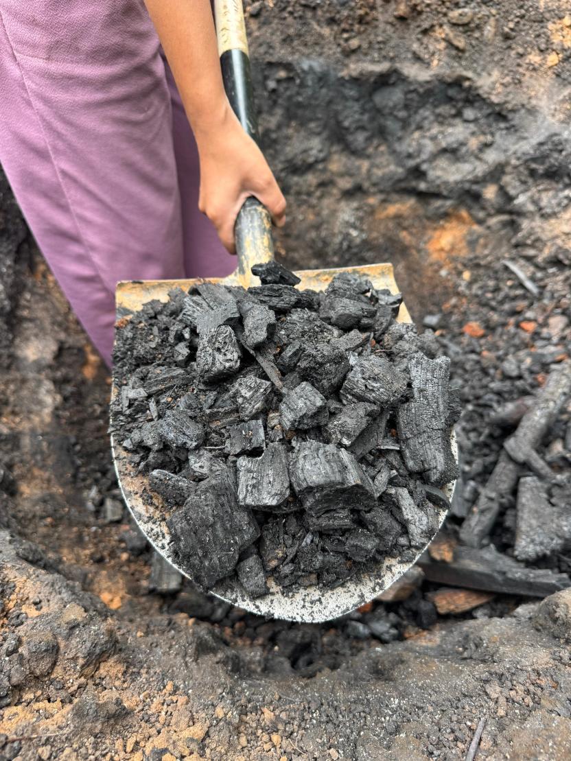 biochar