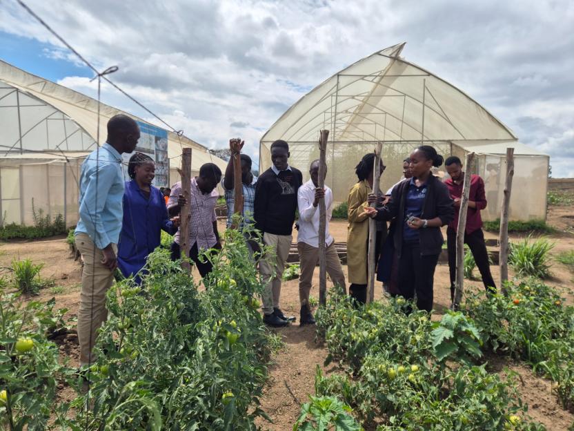 Farmers with the greenhouse