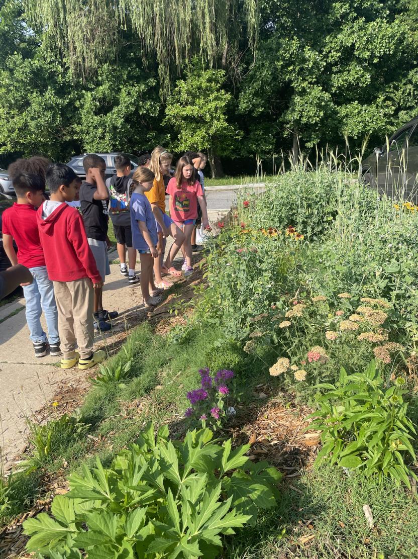 pollinator garden