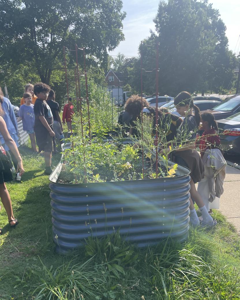 raised beds