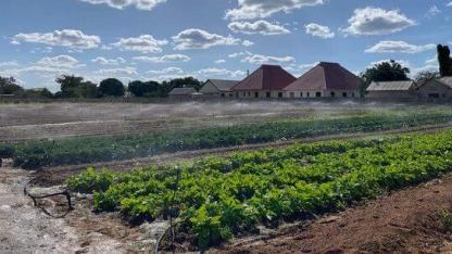Arid farm