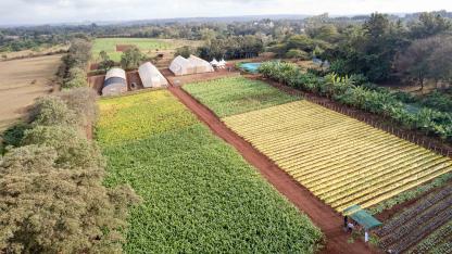 Farm