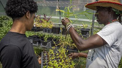 Urban farmers