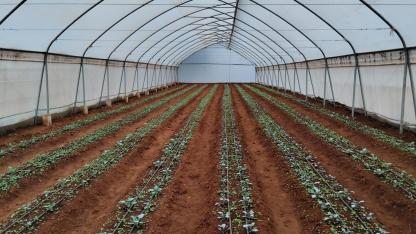 Hoop house