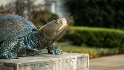 testudo