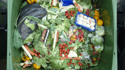 food waste