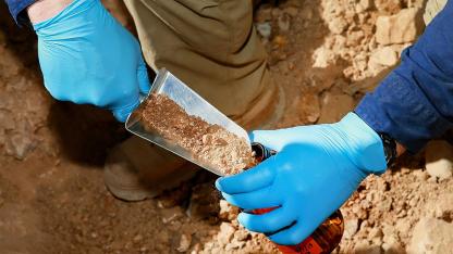 soil sample