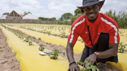 AITEC farm