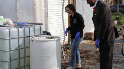 Rainwater harvest