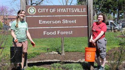 undergrad volunteers