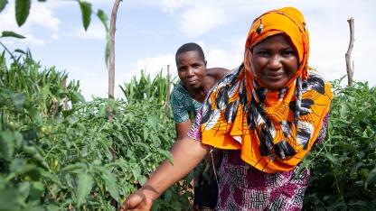 Farmers in TZ