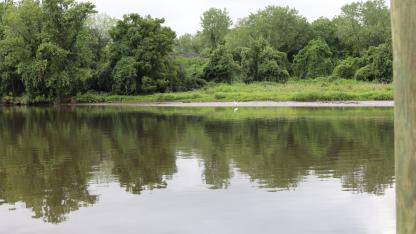 Anacostia