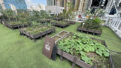 urban farm