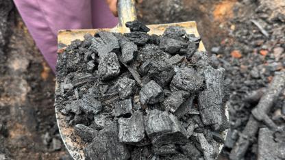 biochar