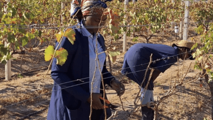 farmers in grape field