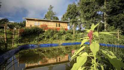 Rainwater harvesting pond