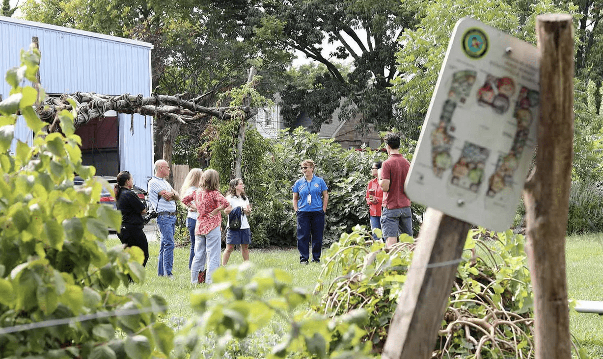 group in forest