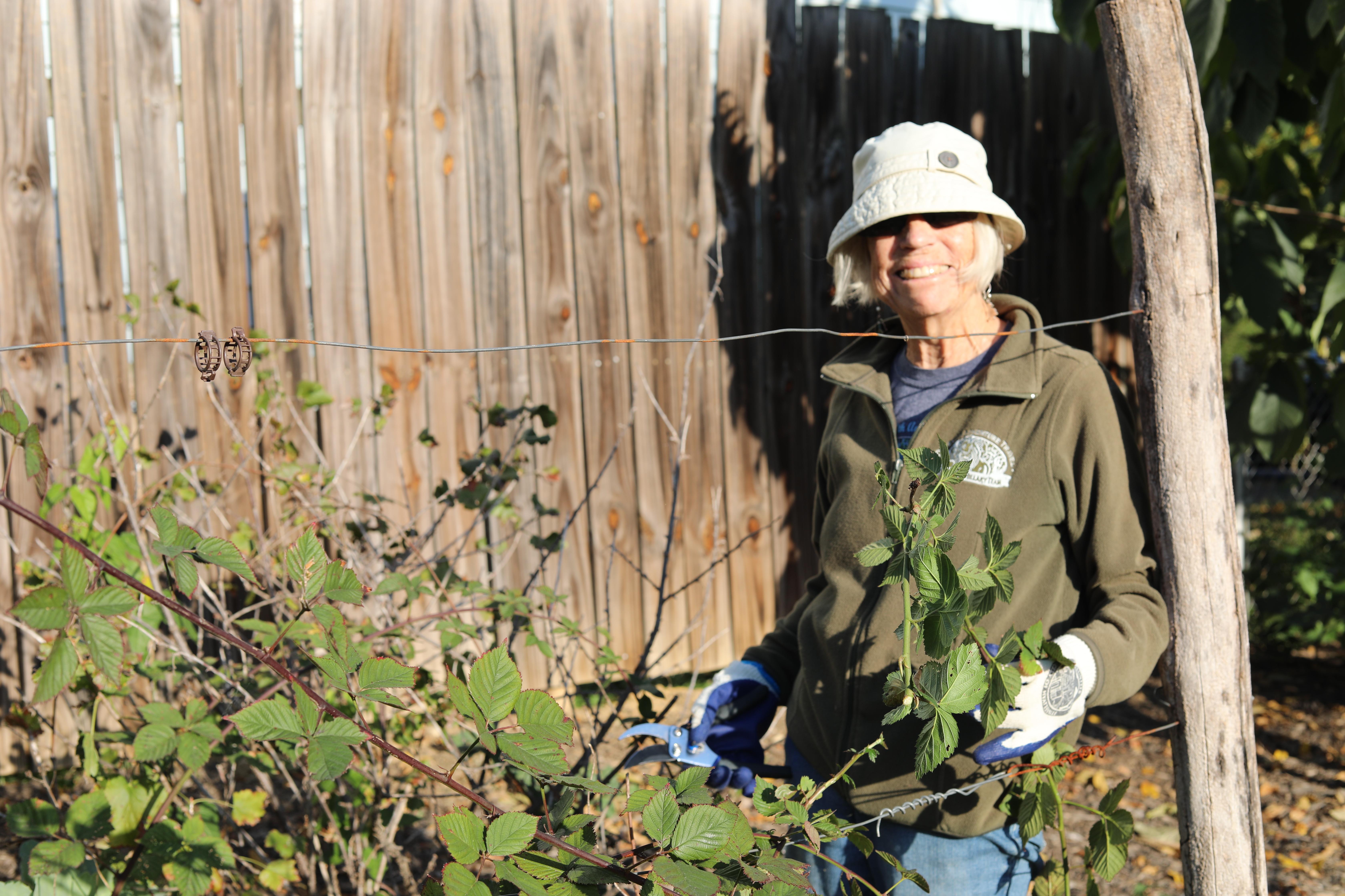 pruning