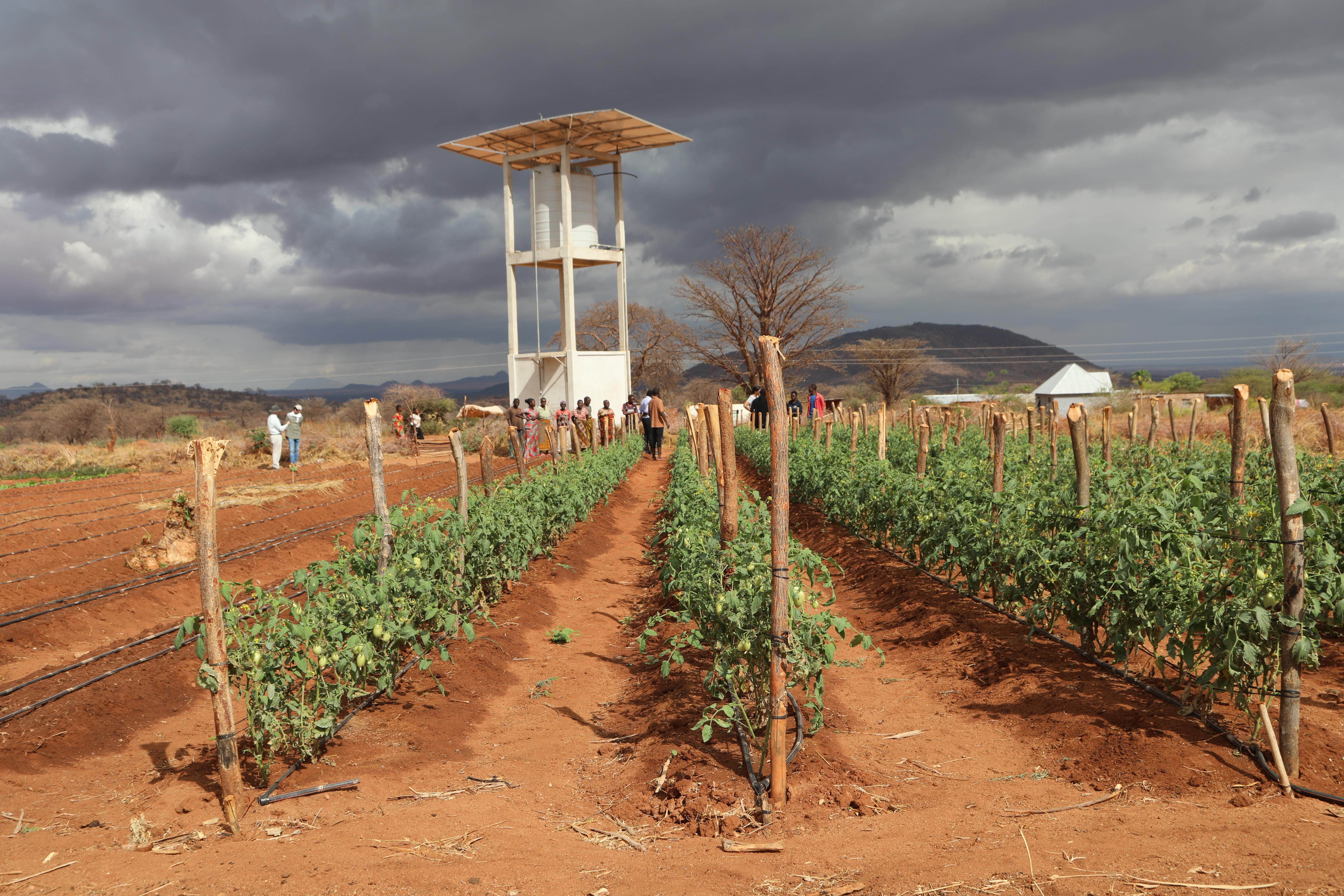 Farm plot