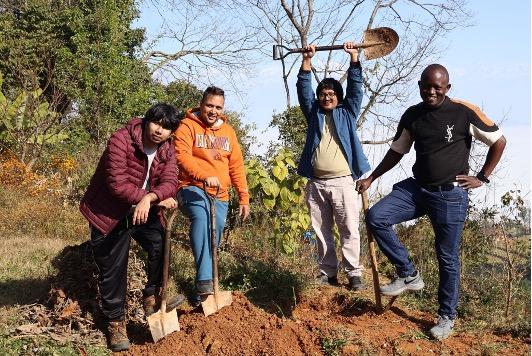 Planting