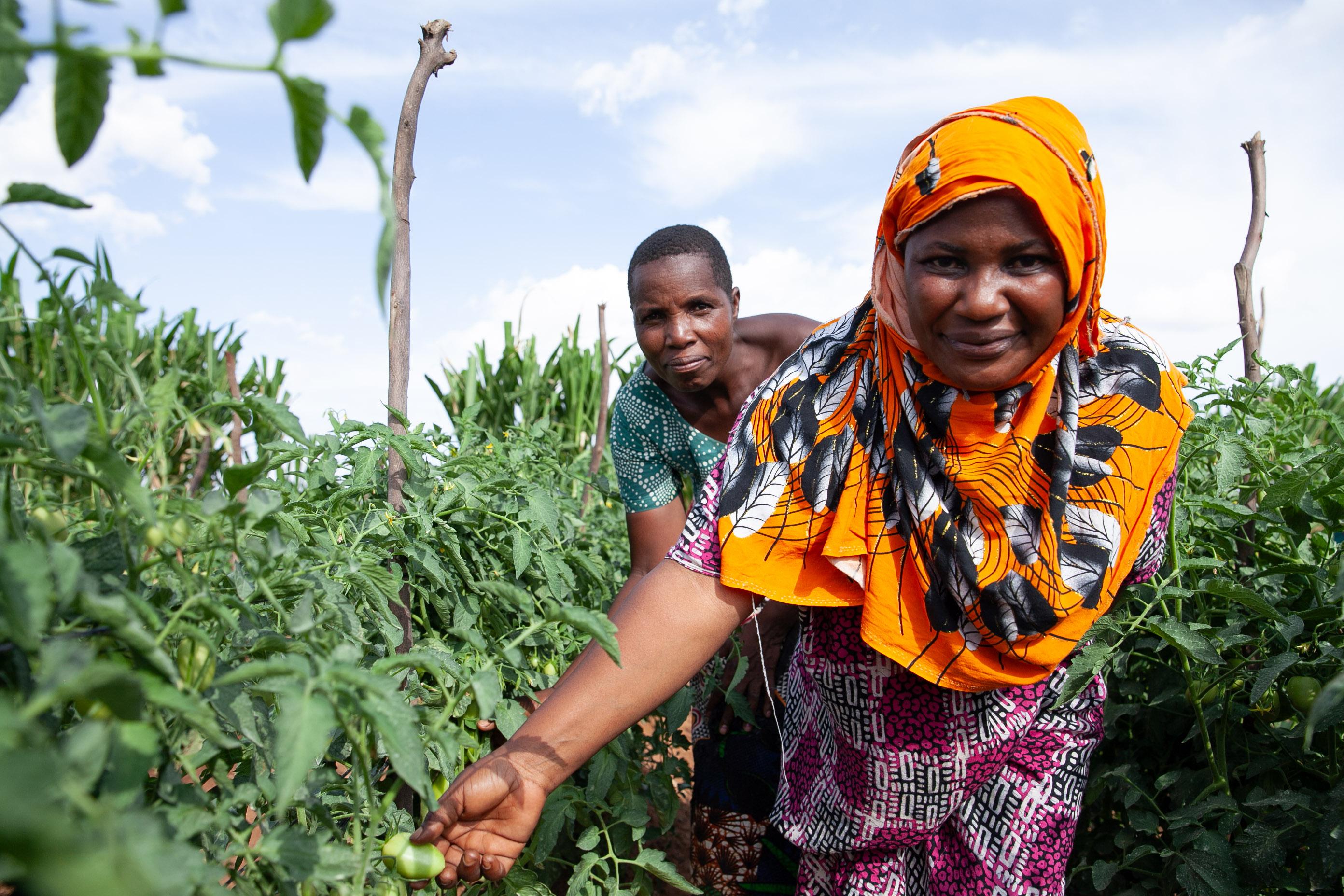 Farmers in TZ