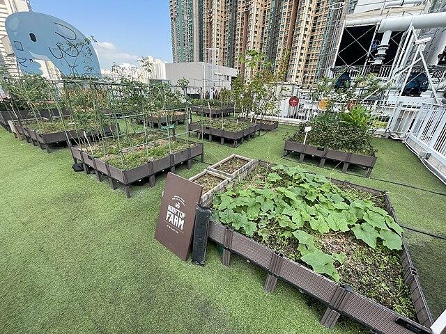 urban farm