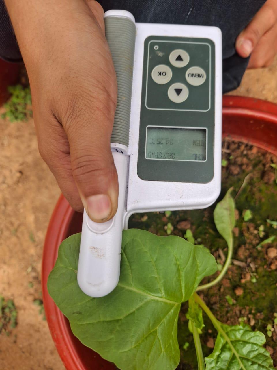 hydrometer