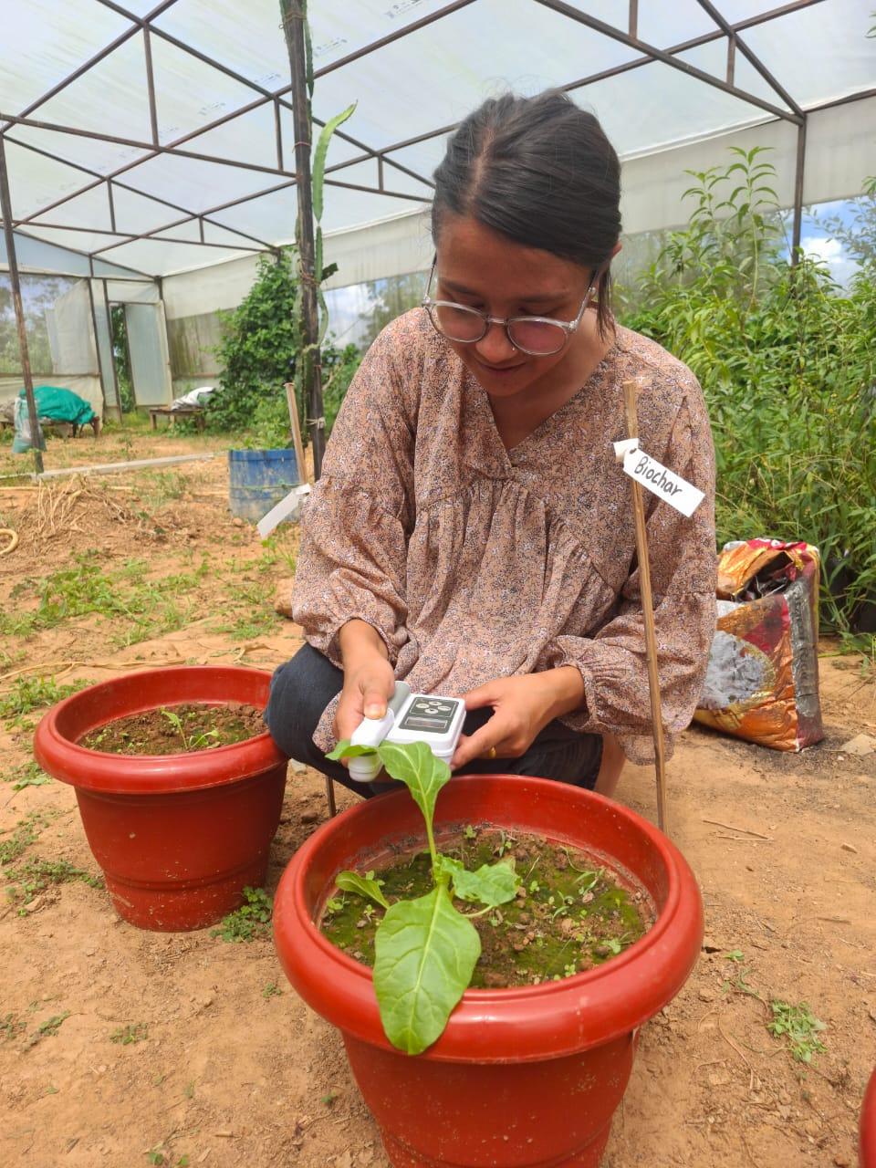 biochar trials
