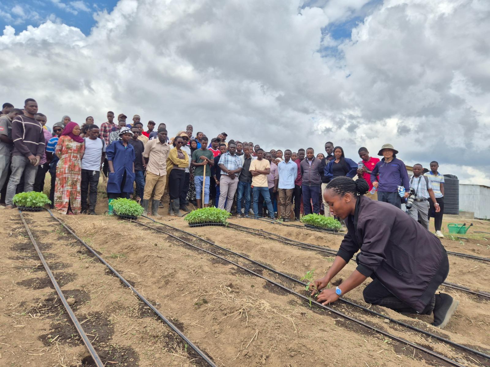 Drip irrigation technology