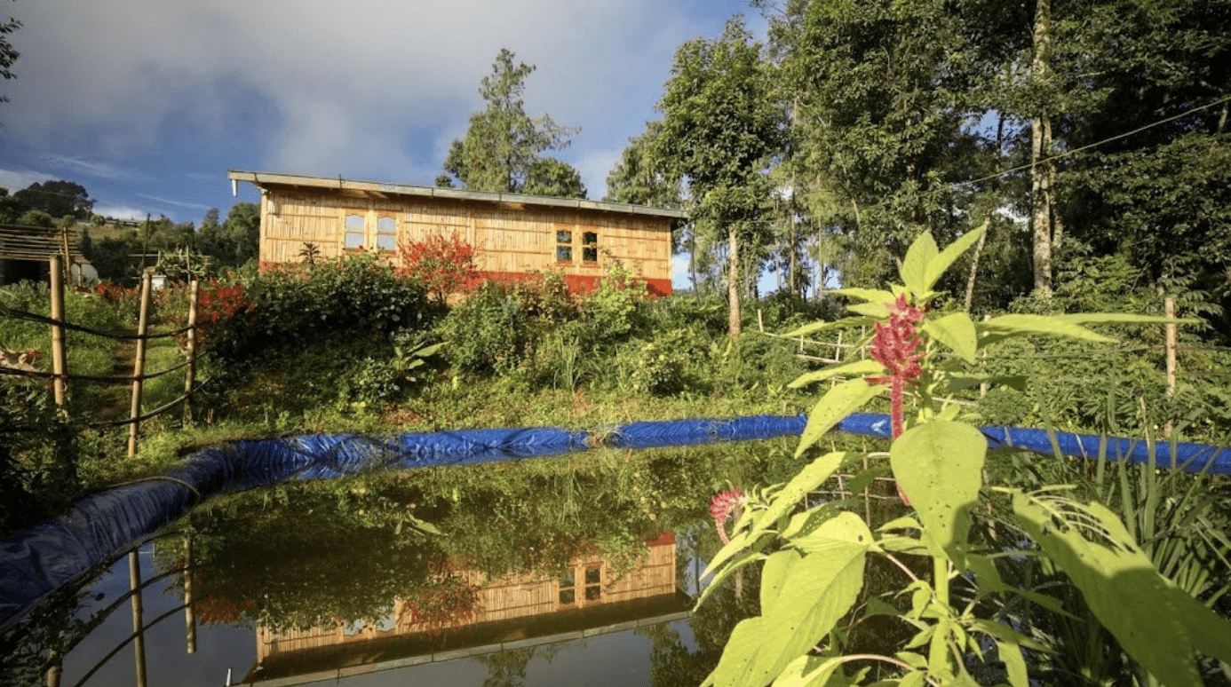Rainwater Pool at Sanskriti Farms
