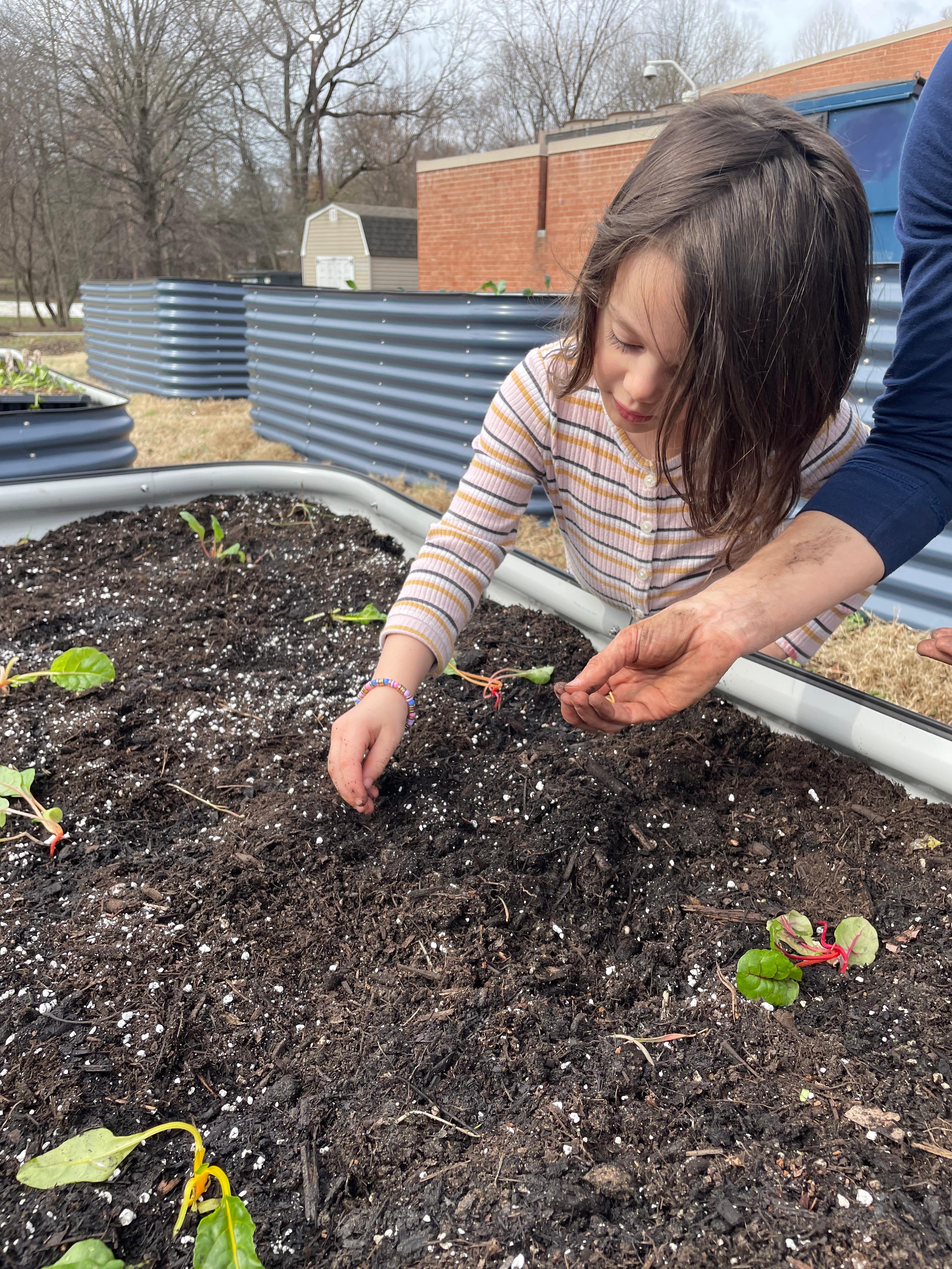 Kid planting seeds
