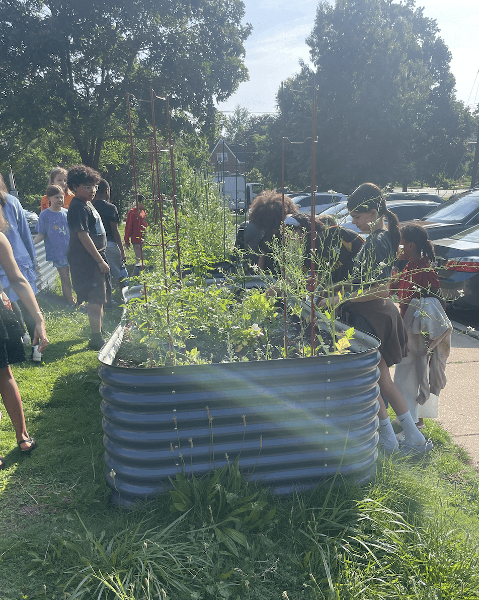 raised beds